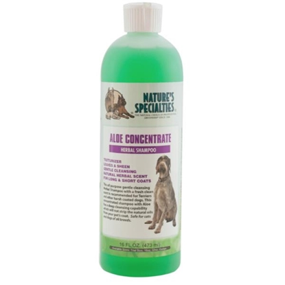 Picture of Natures Specialties Aloe Concentrate Shampoo | Deep Cleanse